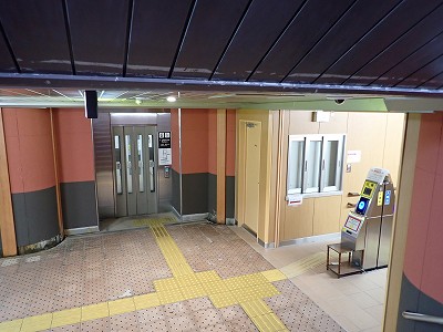 ���ꉷ��w�摜