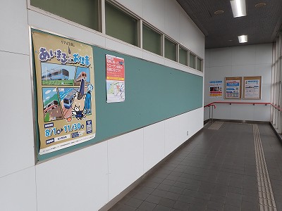 ����w�摜