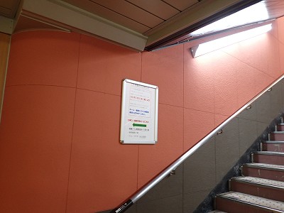 ���ꉷ��w�摜