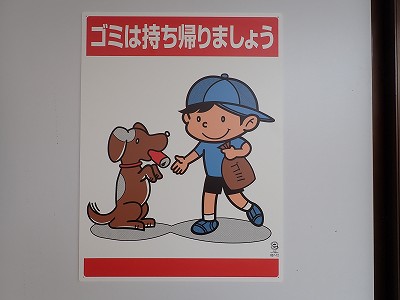 ���ꉷ��w�摜