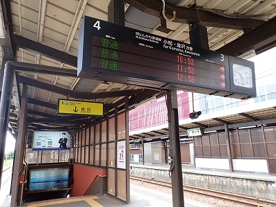 ���ꉷ��w�摜