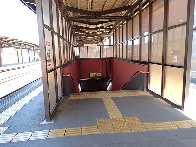 ���ꉷ��w�摜