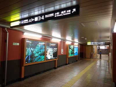 ���ꉷ��w�摜