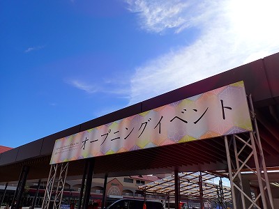 ���ꉷ��w�摜
