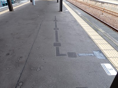 ���ꉷ��w�摜