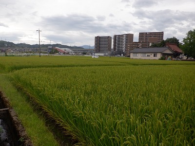 東金沢駅画像