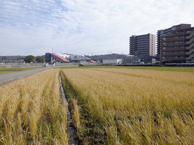 東金沢駅画像