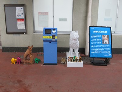 犬