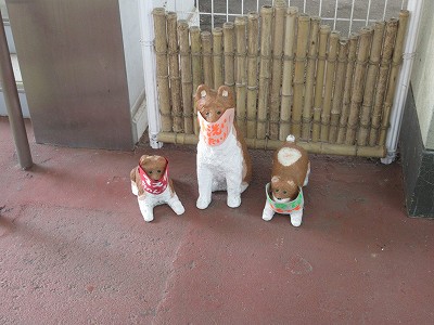 犬