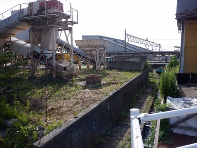 Ôw摜
