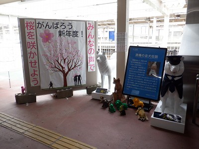 Ôw摜