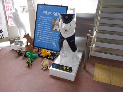 Ôw摜