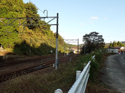 �䗘�����w�摜