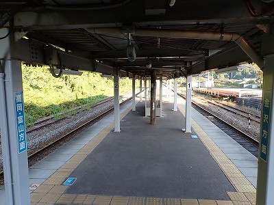 �䗘�����w�摜