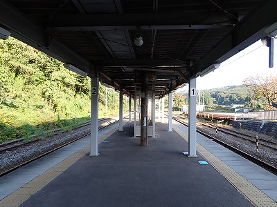 �䗘�����w�摜