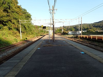 �䗘�����w�摜