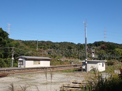 �䗘�����w�摜