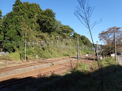�䗘�����w�摜