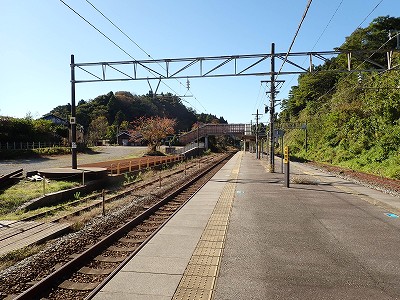 �䗘�����w�摜