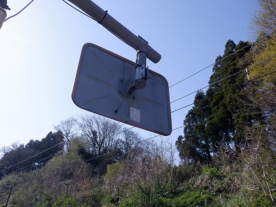 �䗘�����w�摜