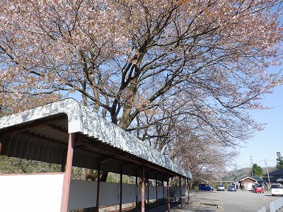 �䗘�����w�摜