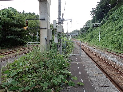 �䗘�����w�摜