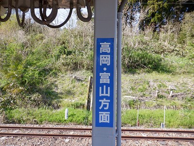 �䗘�����w�摜