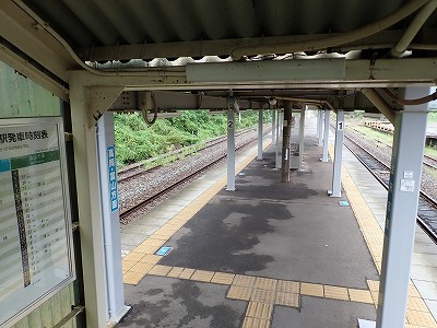 �䗘�����w�摜