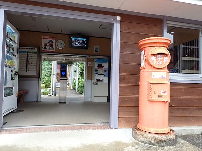 �䗘�����w�摜
