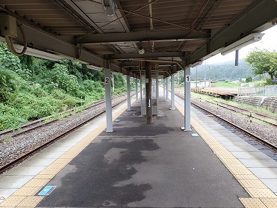 �䗘�����w�摜