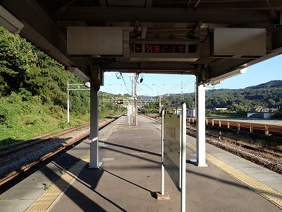 �䗘�����w�摜