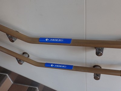 �X�{�w�摜