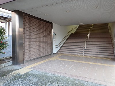 �X�{�w�摜