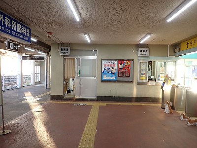 �Ô��w�摜