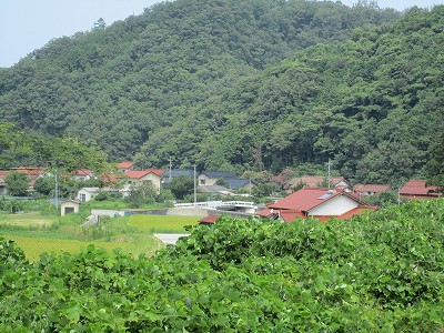 ホームより