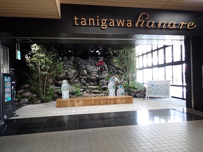 ��э����w�摜