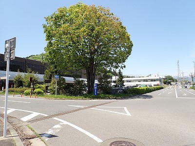 ��э����w�摜