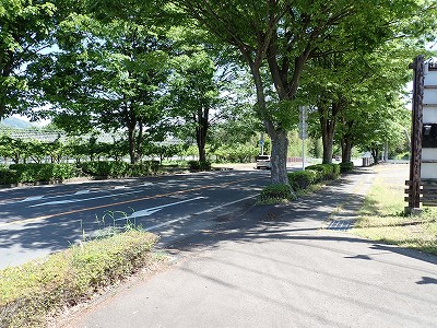 ��э����w�摜