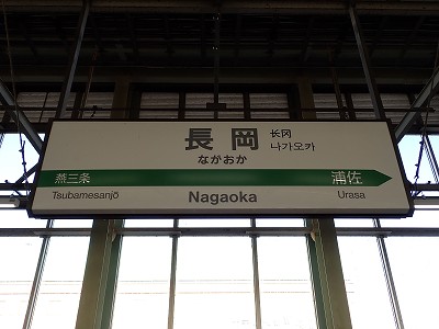 �����w���W