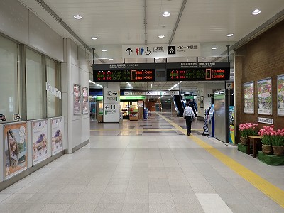 �����w�摜