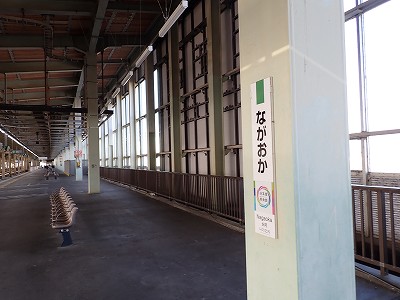 �����w�摜