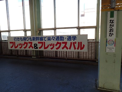 �����w�摜