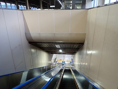 �Y���w�摜