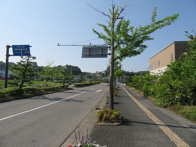 遠景