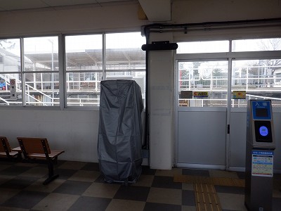 �����q�w�摜