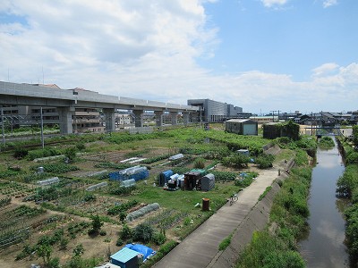 跨線橋から