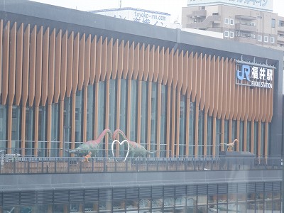 w摜