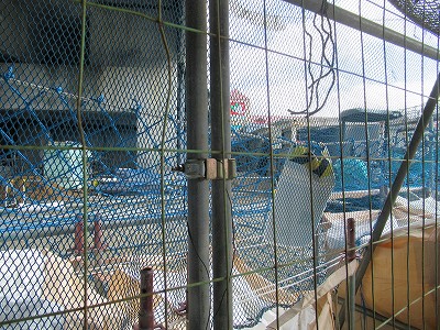 加賀温泉駅