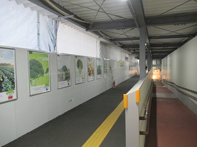 加賀温泉駅