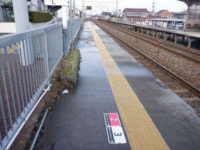 �����q�w�摜